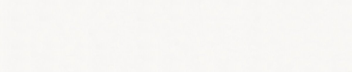 D-024 SILVERWHITE